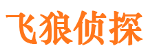 西平市场调查